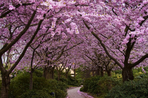 青春无敌！WTA世界排名新势力崛起，老将们能否守住阵地